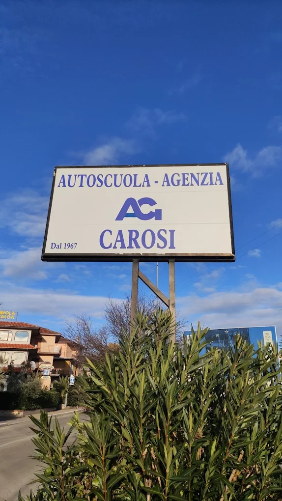 Lezioni di guida